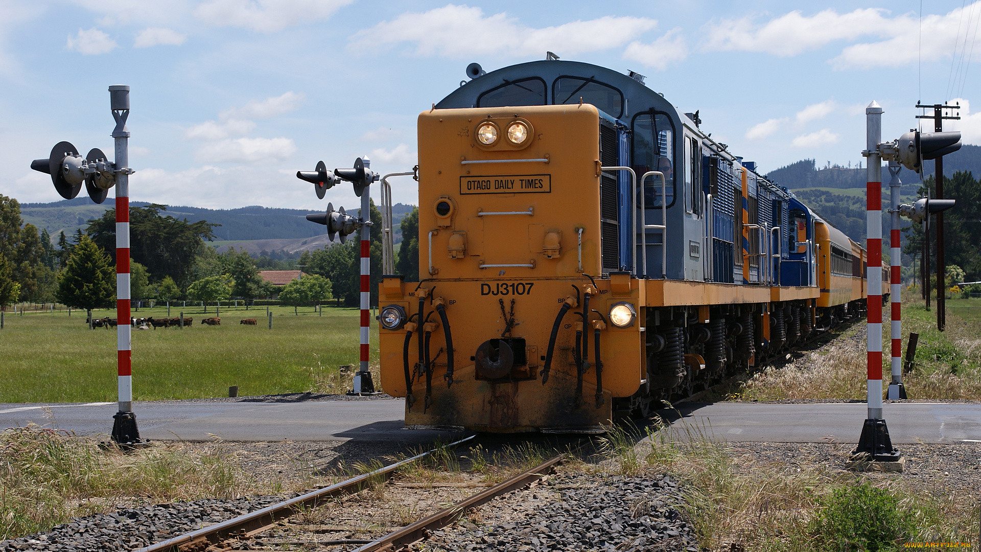 taieri gorge railway dj 3107 ex nzr locomotive, , , , , , , , , 